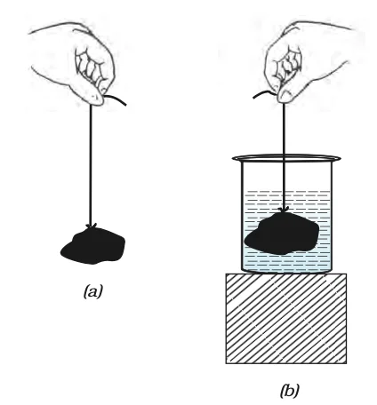 Archimedes' Principle