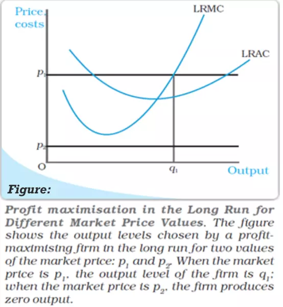 Long Run Supply Curve of a Firm