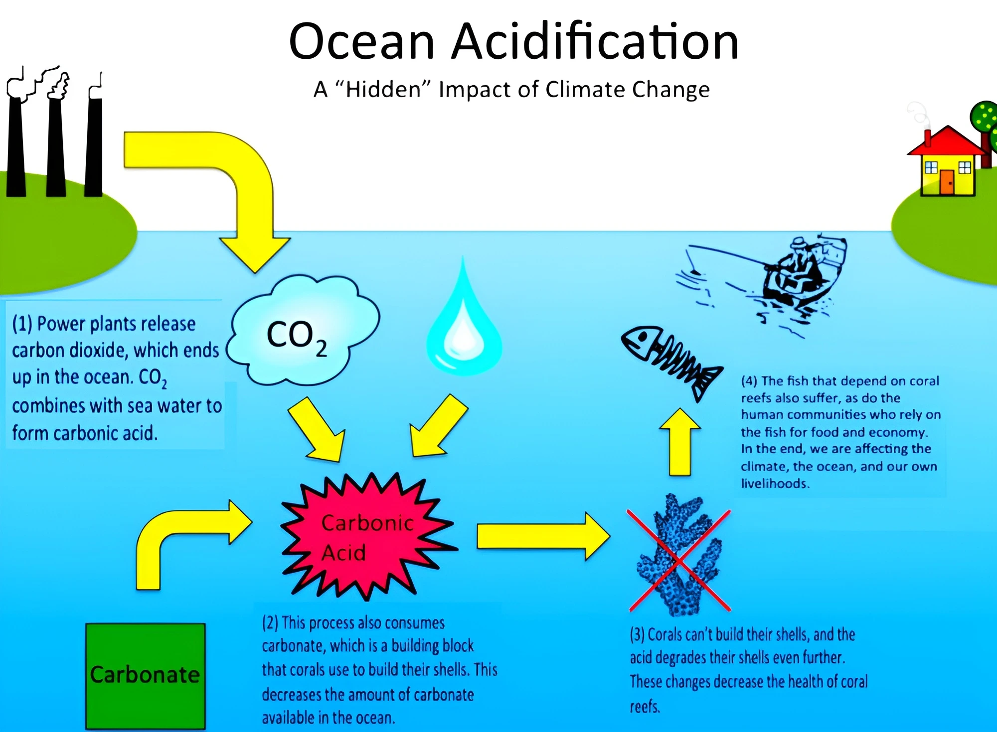 Ocean Acidification