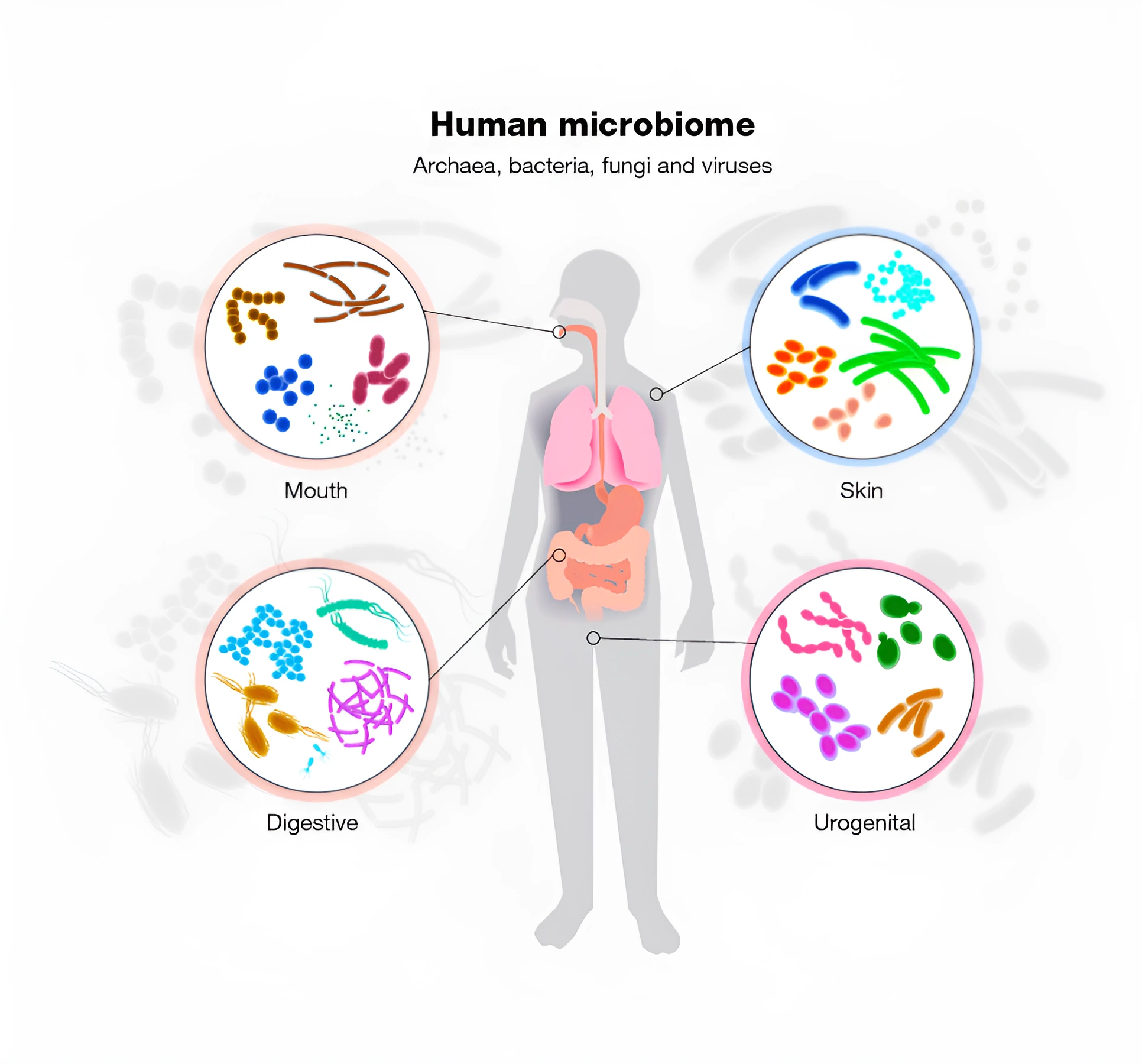 Human Microbiome