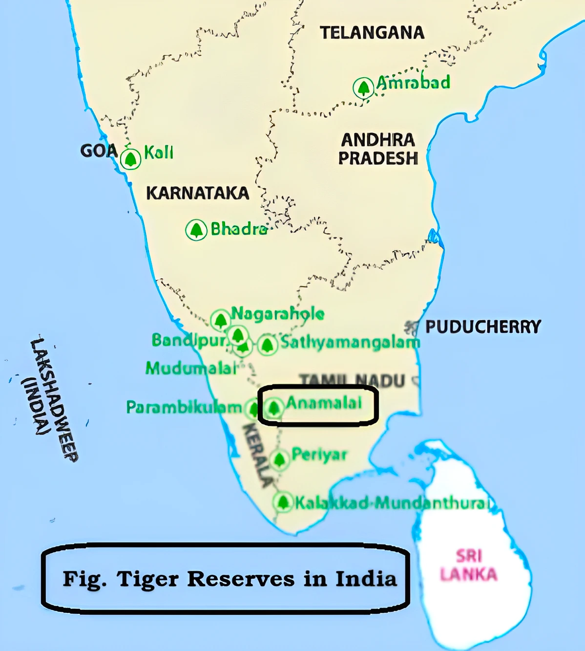 Anamalai Tiger Reserve