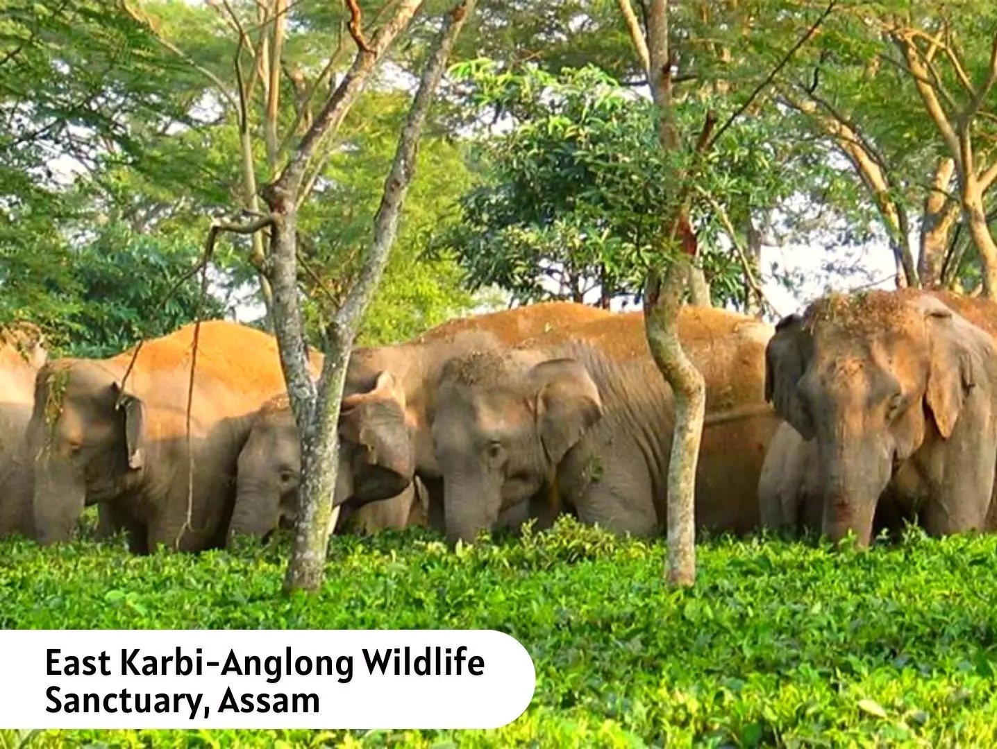 Protected Areas in India 