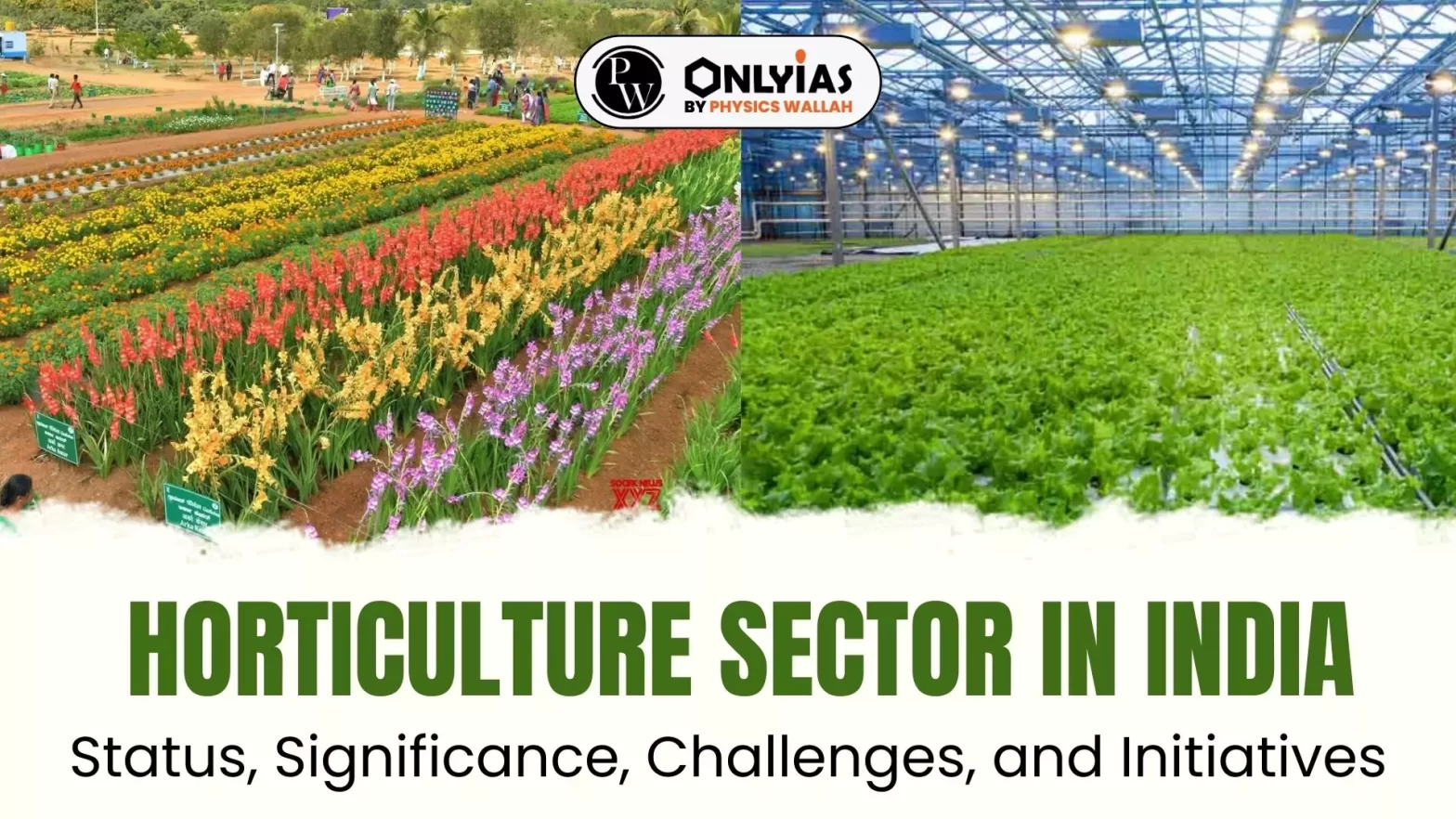 Horticulture Sector In India: Status, Significance, Challenges, and Initiatives