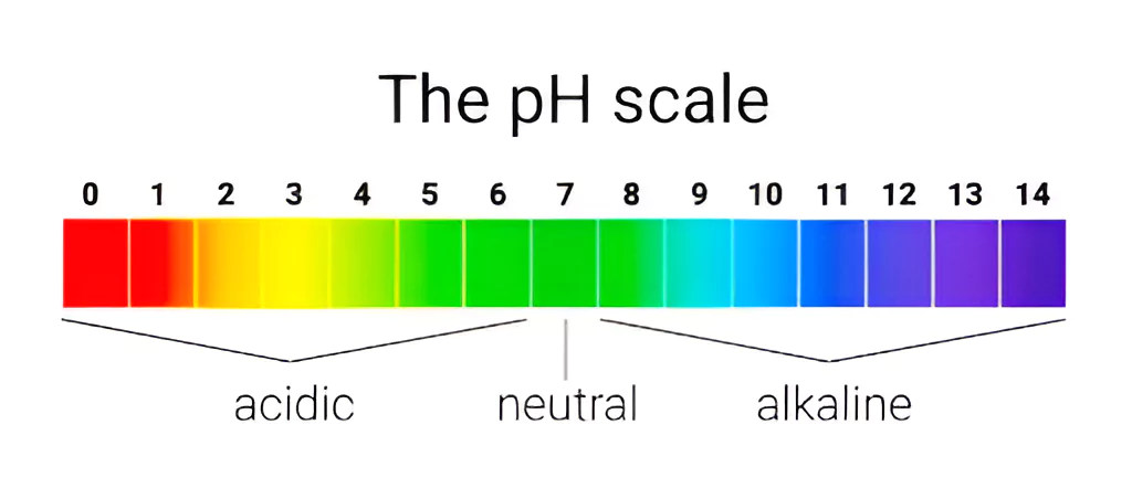 Ocean Acidification