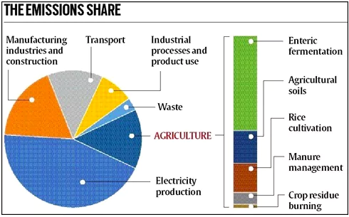 Carbon Market