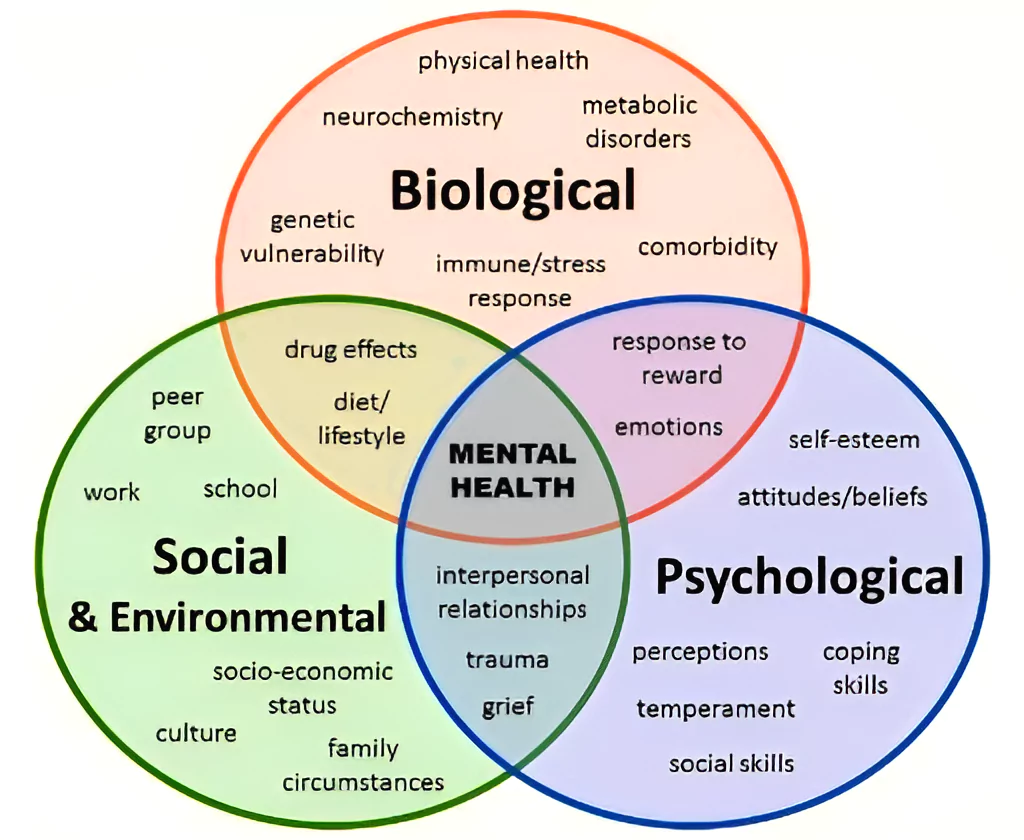 Mental Disorders in India