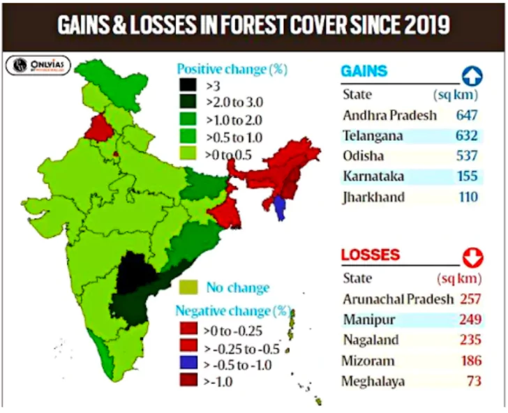 Forest In India