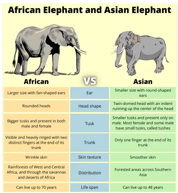 Elephant Reserves in India
