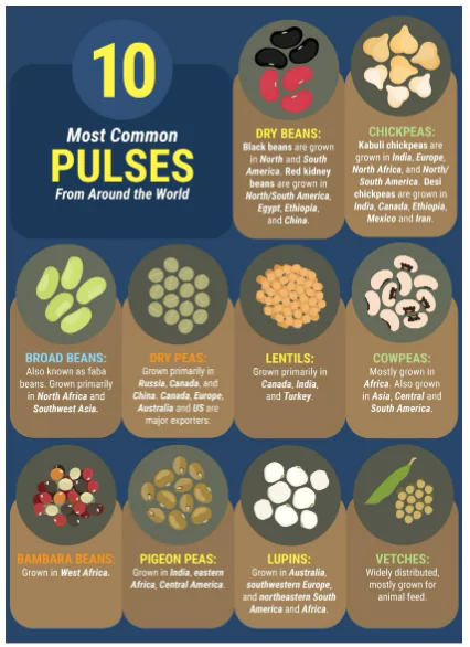 World Pulses Day 2024