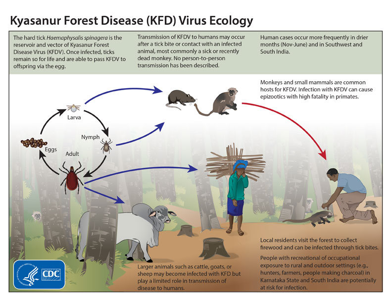 Kyasanur Forest Disease