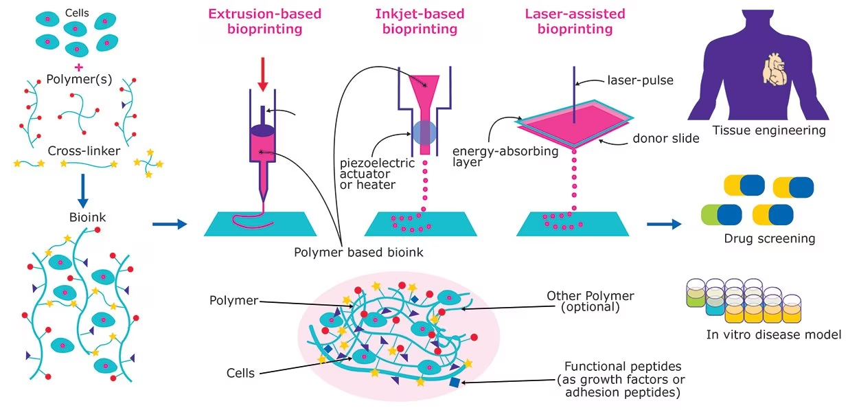 3D Printed Brain Tissue