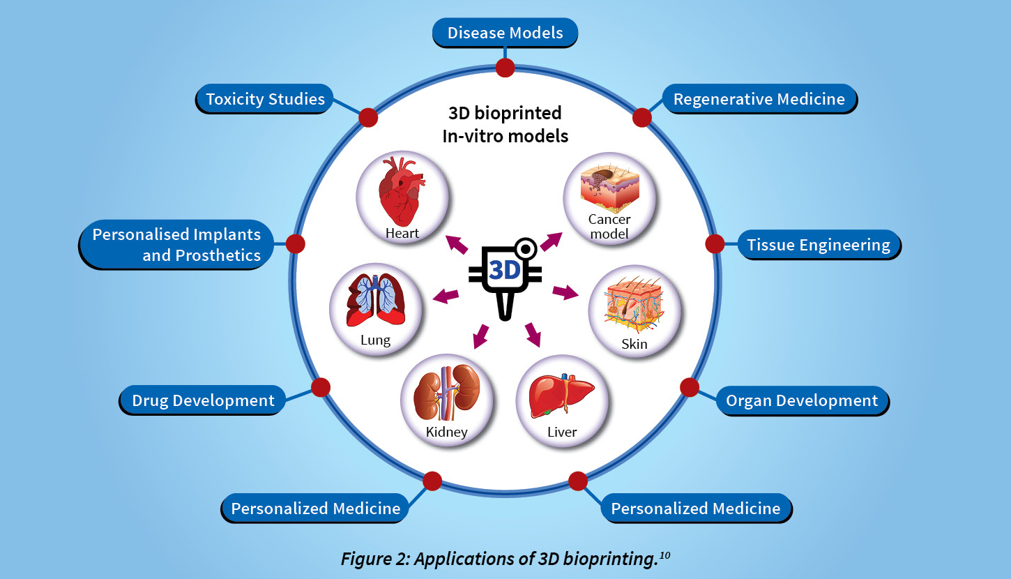 3D Printed Brain Tissue