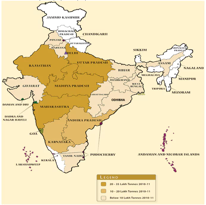 World Pulses Day 2024