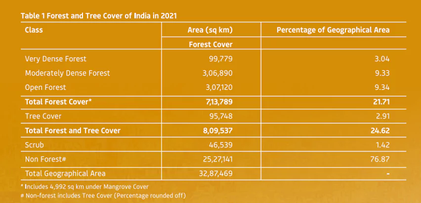 Forest in India
