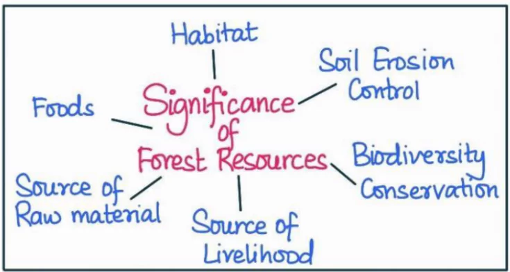 Forest resources in India