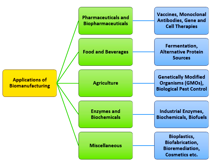 Bio­ Manufacturing