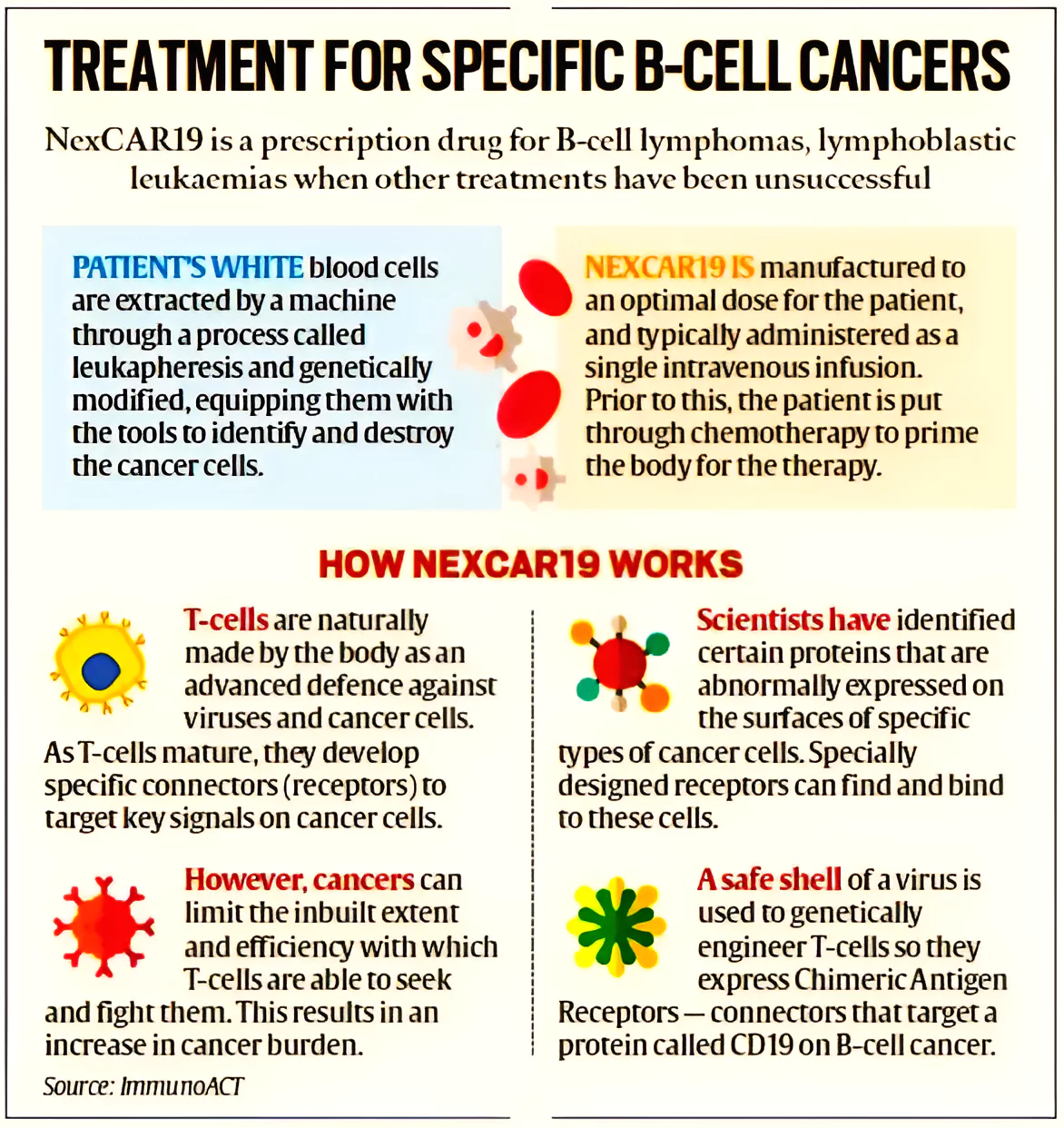 CAR T Cell Therapy