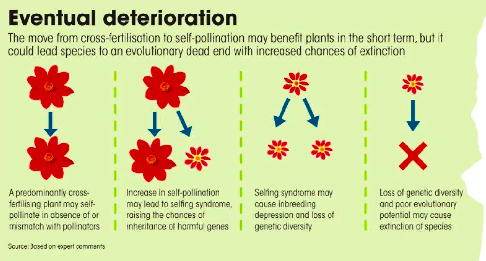 Pollinators