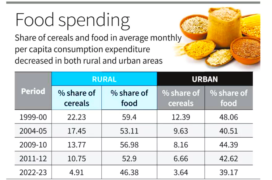 Household Consumption Expenditure Survey