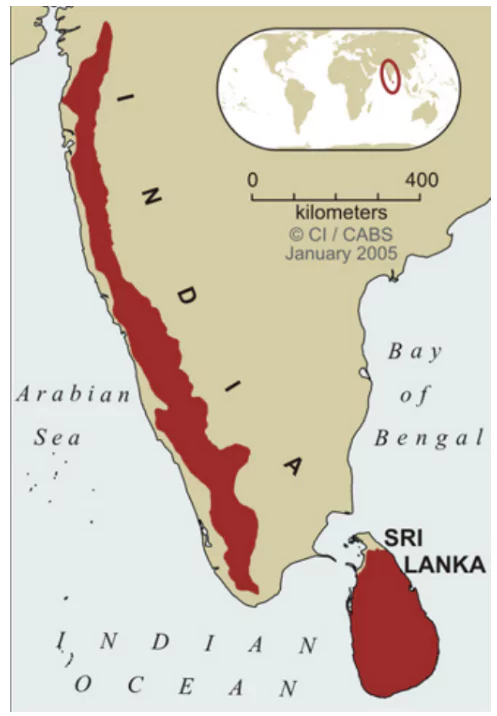 Biodiversity Hotspot