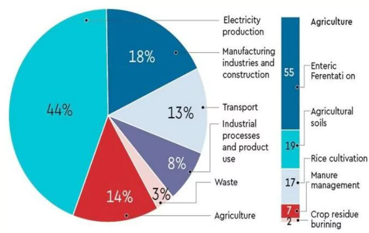 Greenhouse Gas