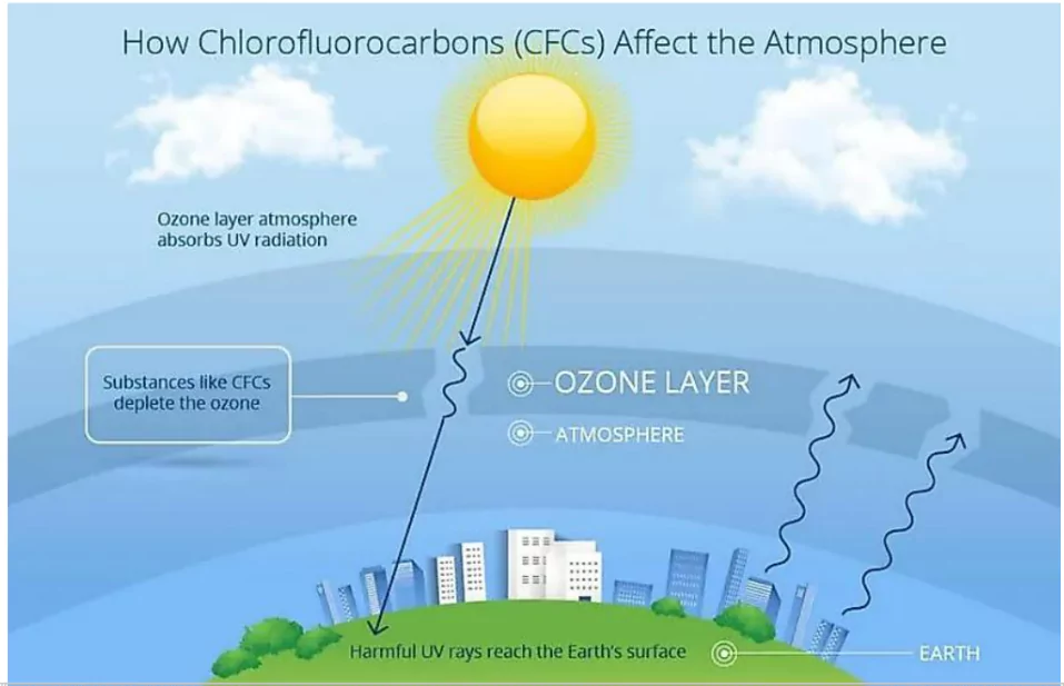 Greenhouse Gas