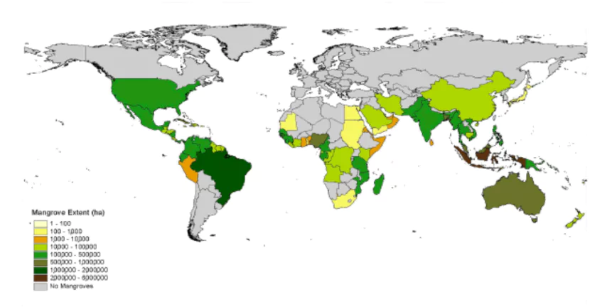 Mangrove Sites in India