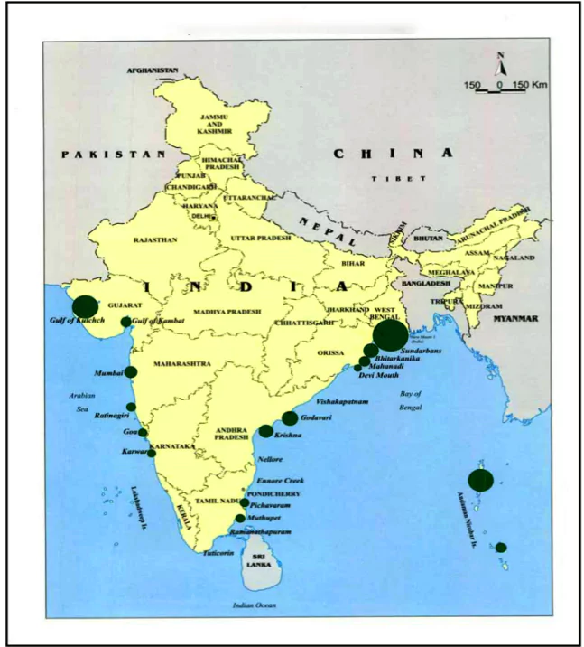 Mangrove Sites in India