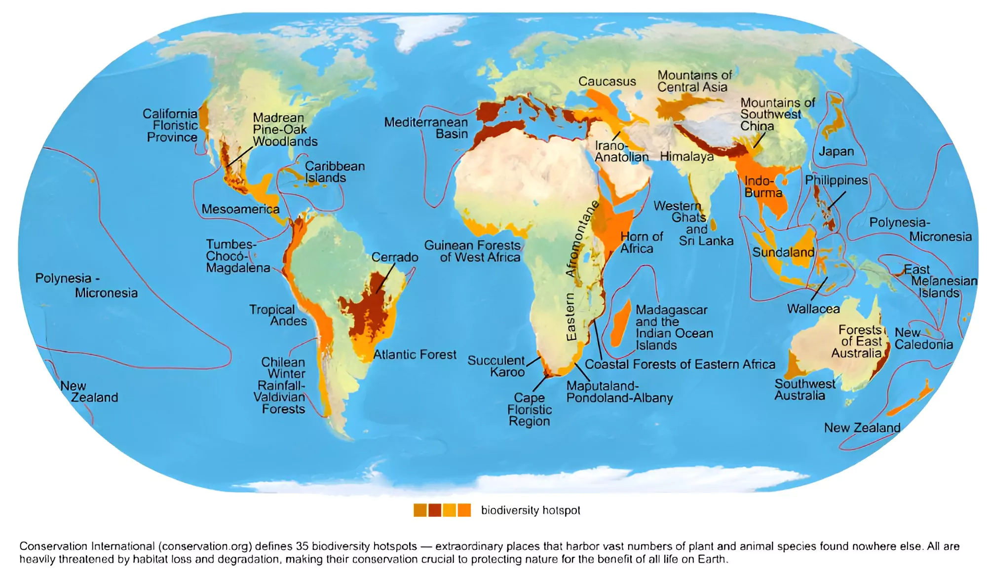 Biodiversity Hotspot