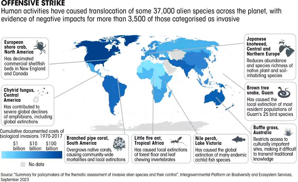 invasive species in india