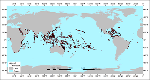 Coral Bleaching
