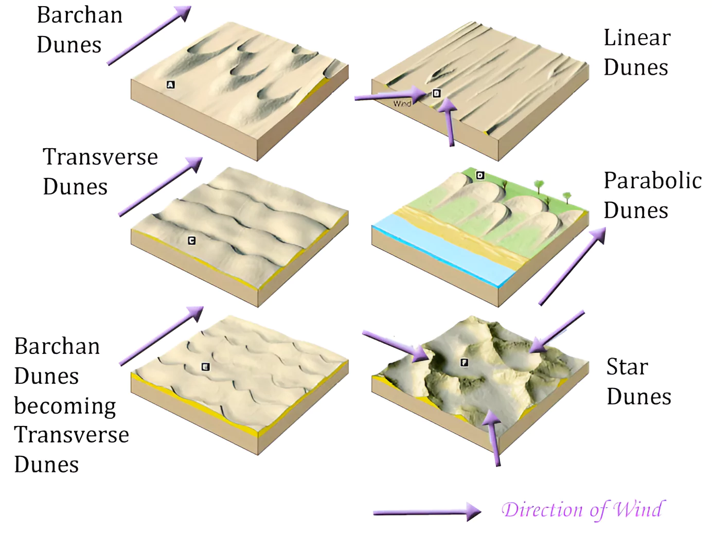 Star Dunes