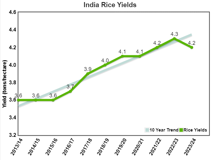 Direct Seeded Rice