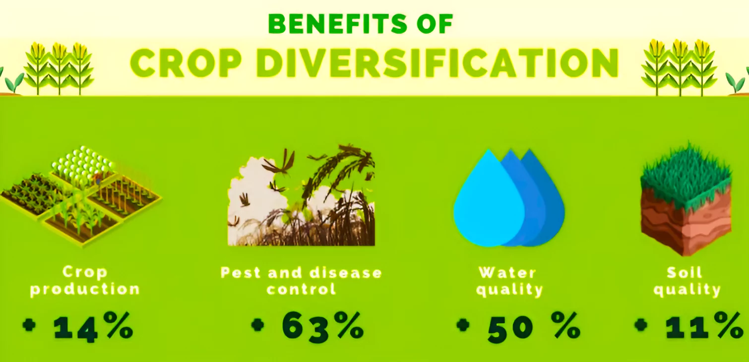 Crop Diversification