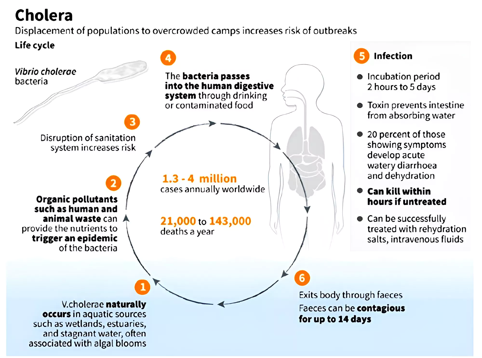 cholera vaccine