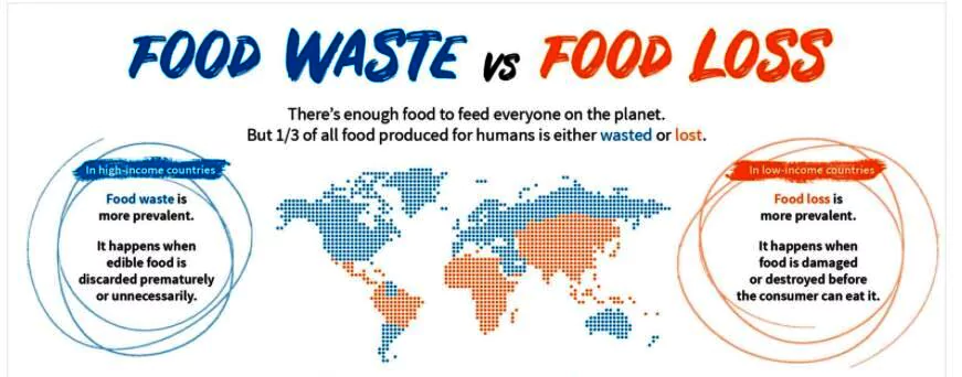 Food Waste Index Report 2024