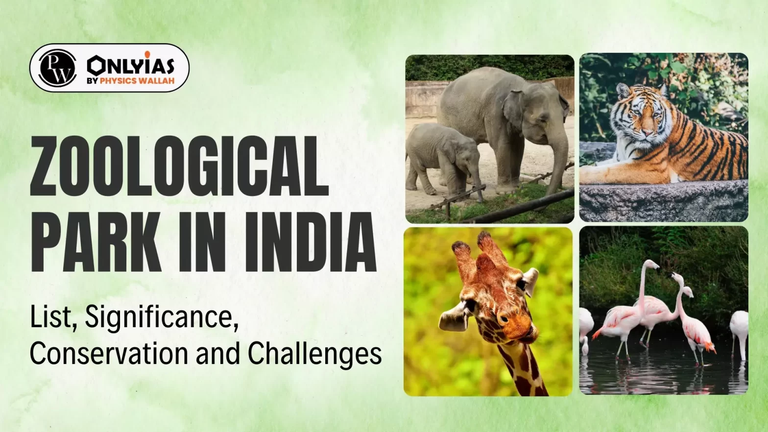 Zoological Park in India: List, Significance, Conservation and Challenges