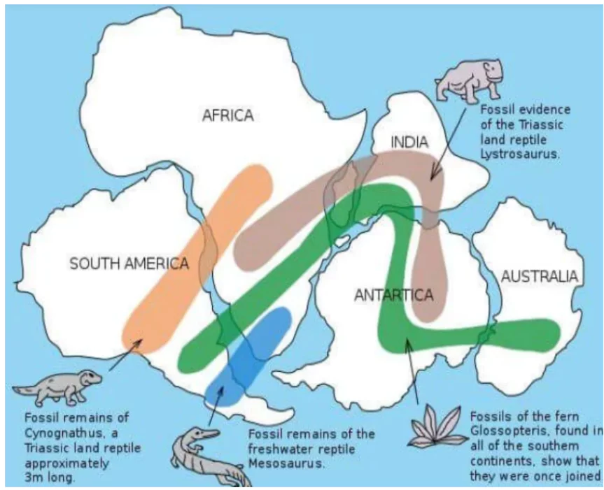 Continental Drift Theory