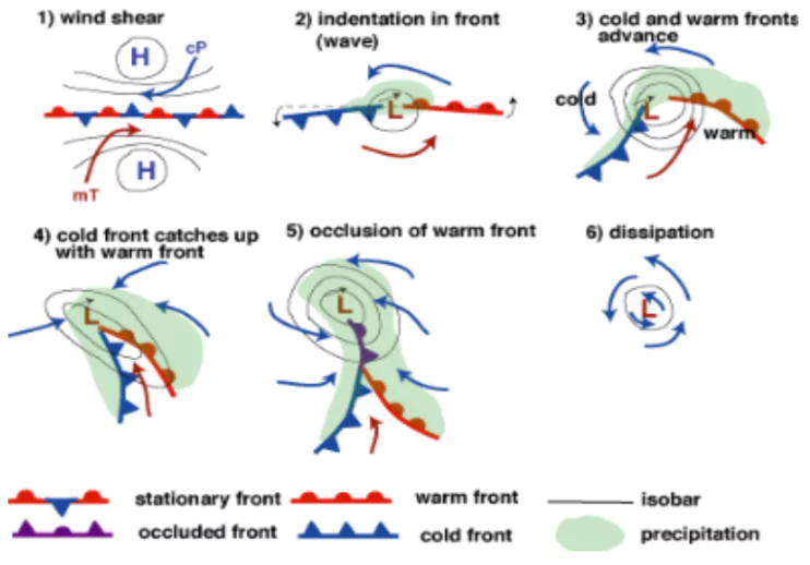 Temperate Cyclones