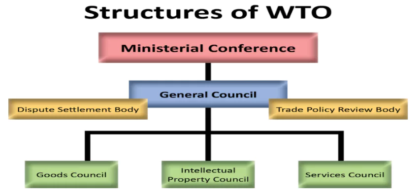 World Trade Organization
