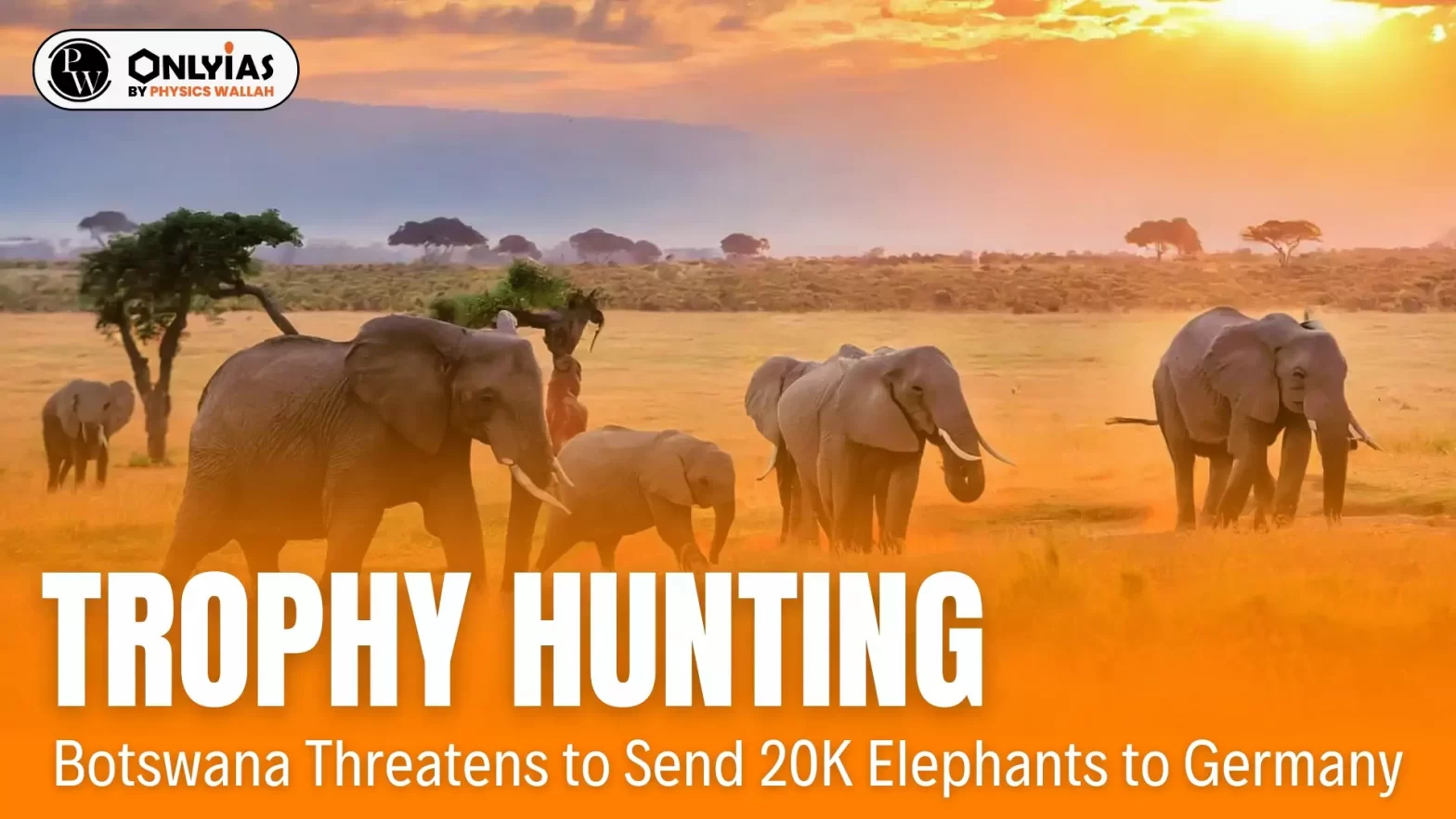 Trophy Hunting: Botswana Threatens to Send 20K Elephants to Germany