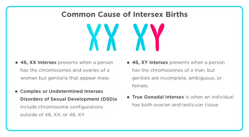 Intersex Rights