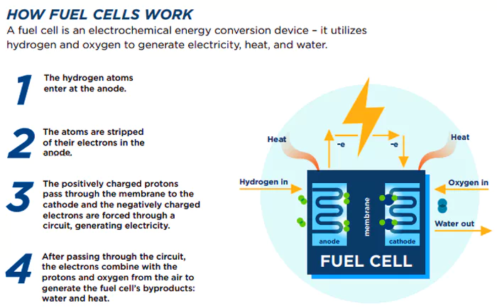 Air-breathing Magnesium