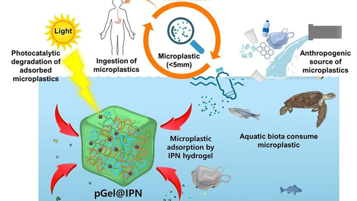 Microplastics