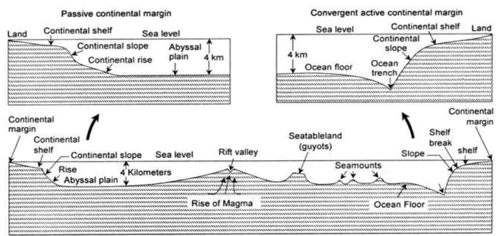 Ocean Floor
