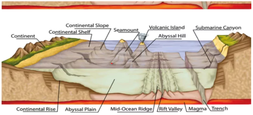 Ocean Floor
