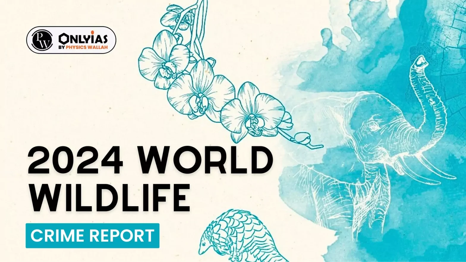 2024 World Wildlife Crime Report