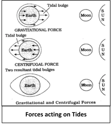 Waves and Tides