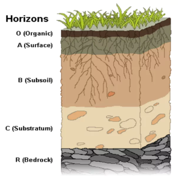 Soils