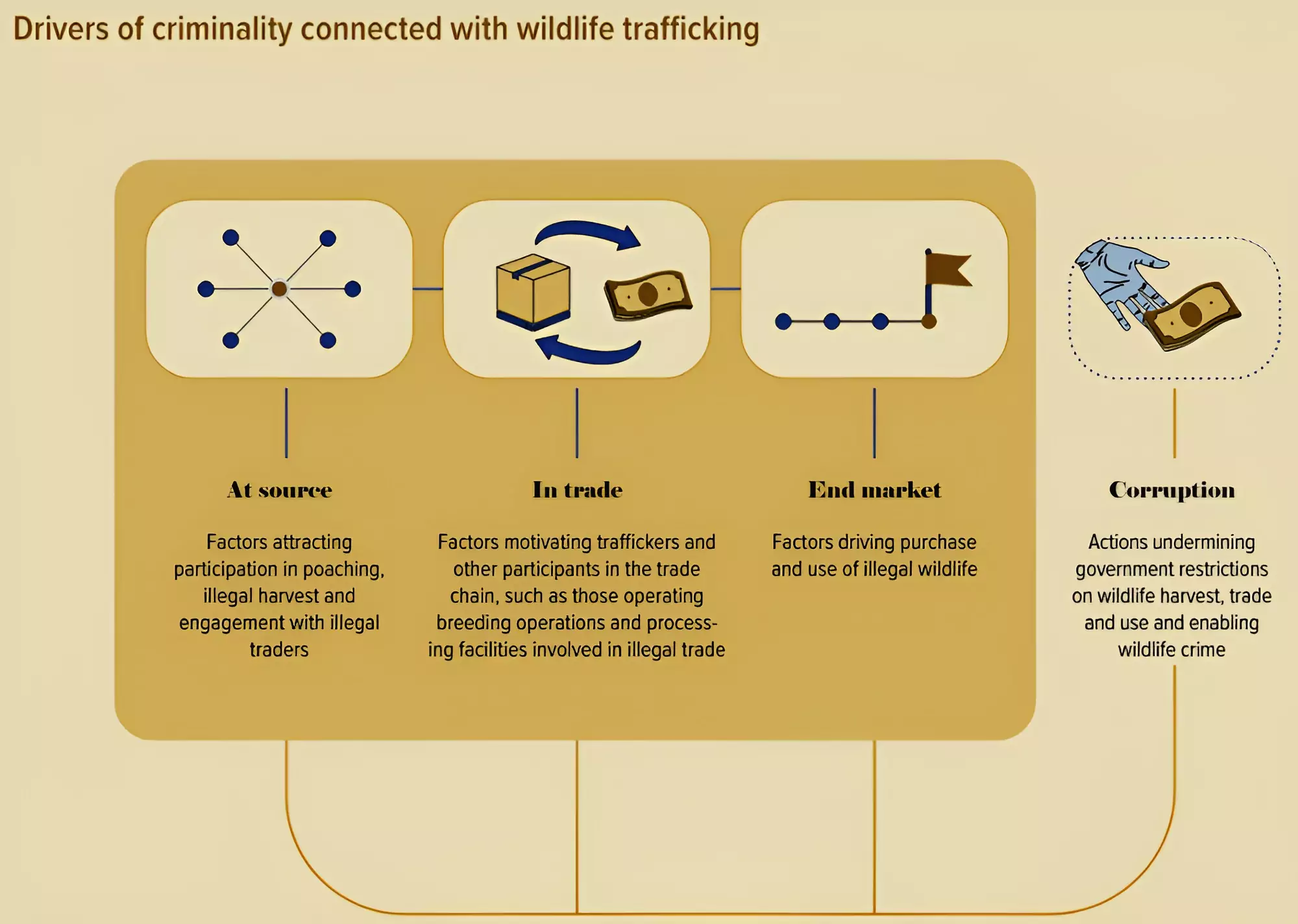 World Wildlife Crime Report 2024